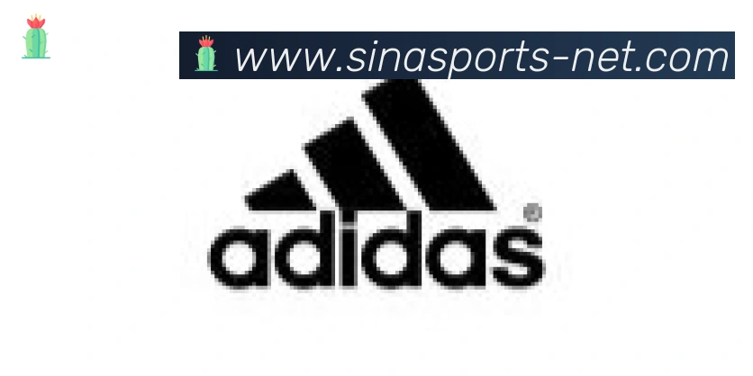 新浪体育合作伙伴