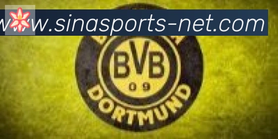 新浪体育合作伙伴